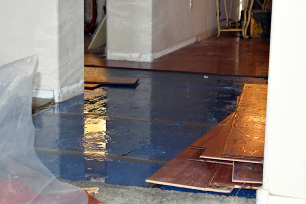 Professional Basement Water Removal technician working in Guys, TN
